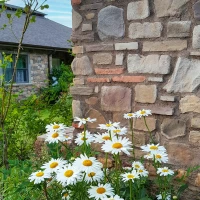 mountain-house-stone-wall-veneer-8